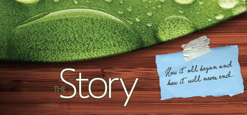 Gospel Story